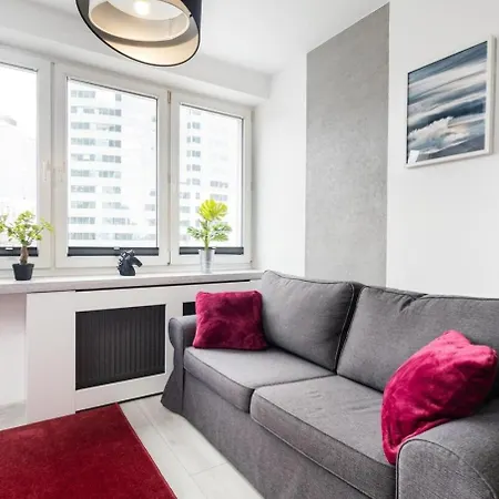 Beetroot Centre Rondo Onz